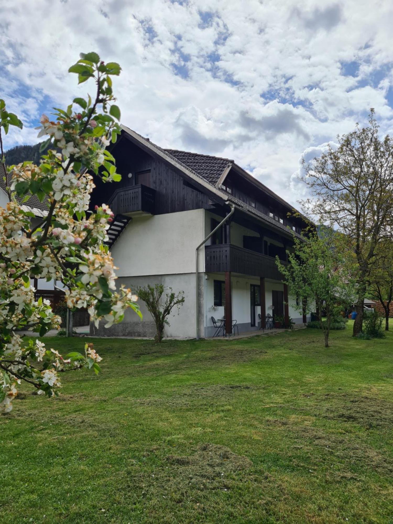 波希基斯卡贝拉Gostilna Batist住宿加早餐旅馆 外观 照片